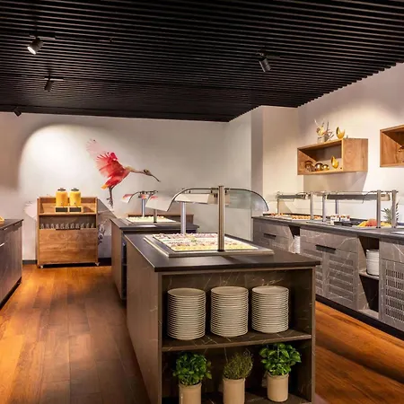 Amedia Plaza Speyer, Trademark Collection By Wyndham 슈파이어